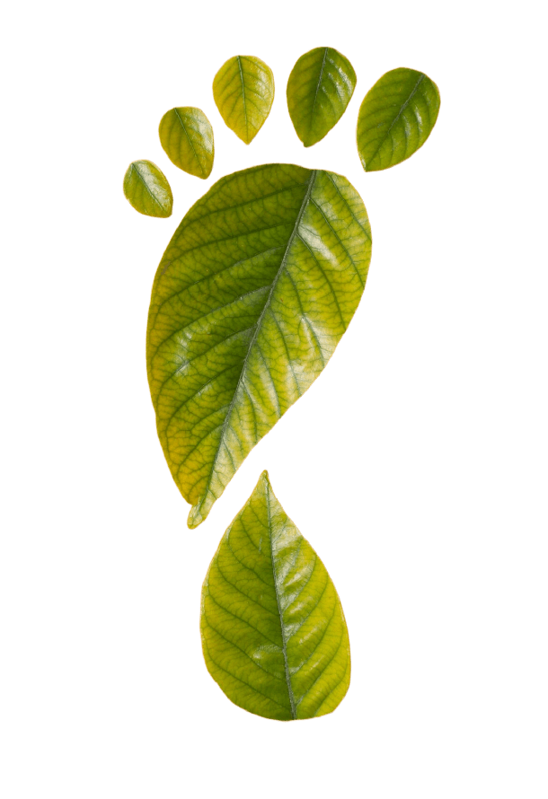 EnergySense για τη Βιομηχανία
